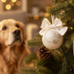 Sfera Natale per Animali Domestici