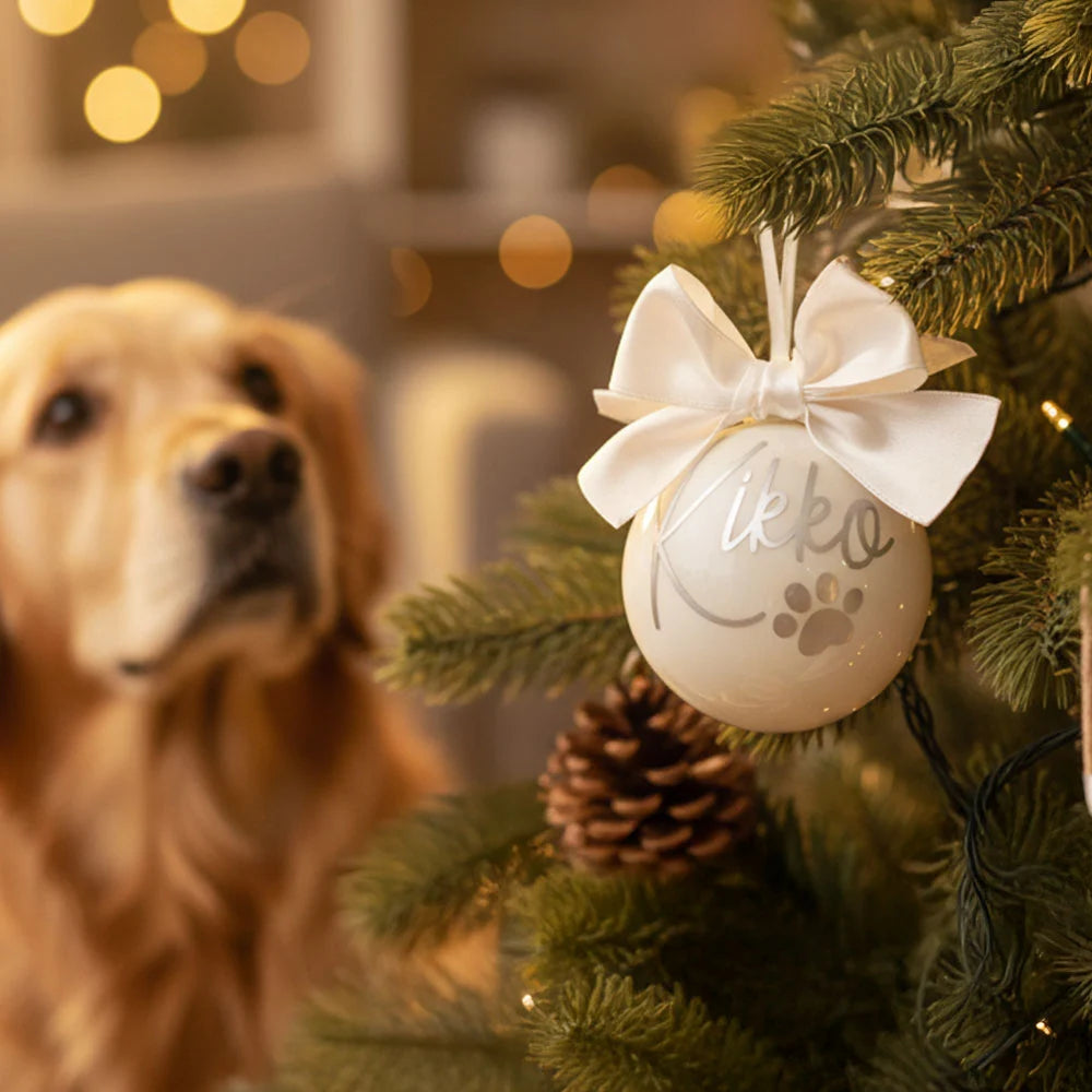 Sfera Natale per Animali Domestici
