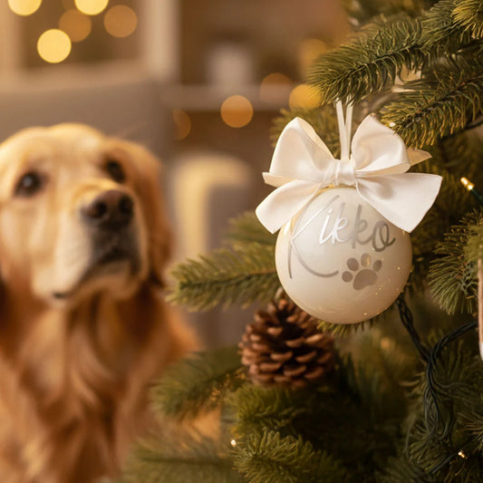 Sfera Natale per Animali Domestici